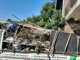 Trusted Mulberry, FL Junk Removal Experts
